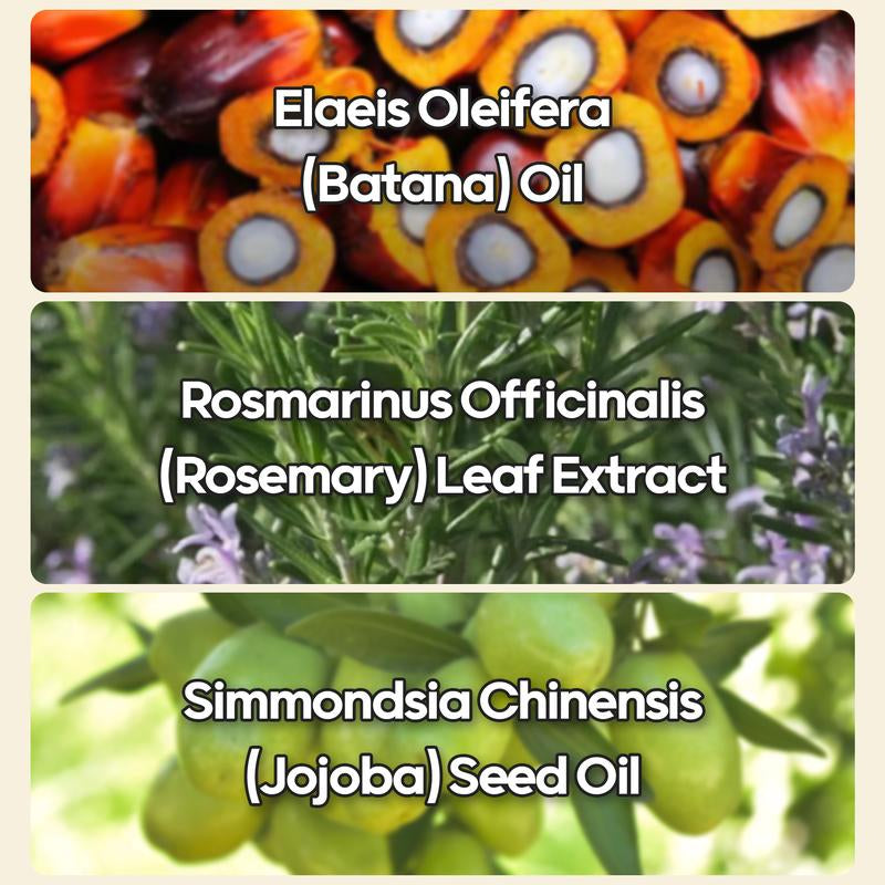 Batana Oil Shampoo & Conditioner – Cleanses Scalp, Boosts Hair Growth & Strengthens Roots – with Rosemary, Biotin & Jojoba – 12 Fl Oz Duo by Panda’S Promise